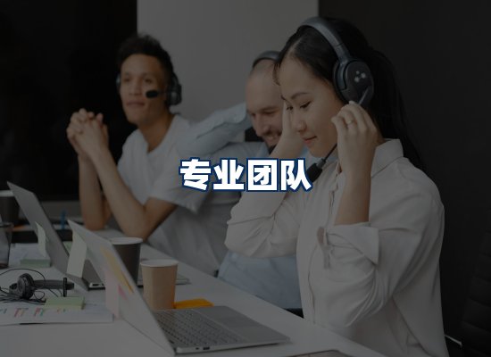 专业团队